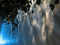 stan Woodard, Passage, 2007